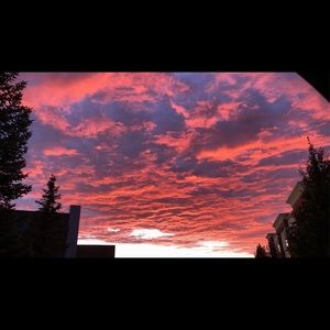 Meet your Posher, Romee